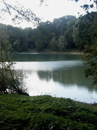 A lake in the Forest of Carnelle